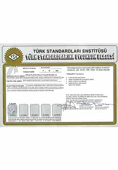 TSE